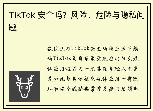 TikTok 安全吗？风险、危险与隐私问题