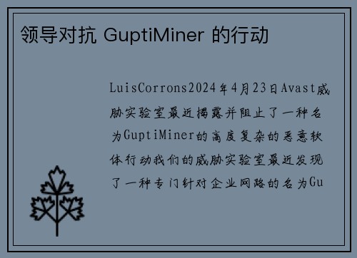 领导对抗 GuptiMiner 的行动