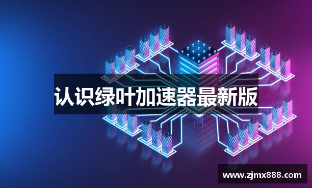 认识绿叶加速器最新版